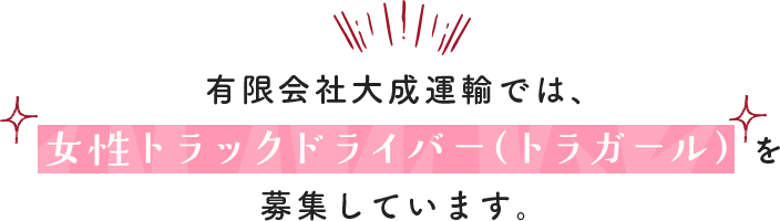 トラックドライバー(トラガール)を募集しています